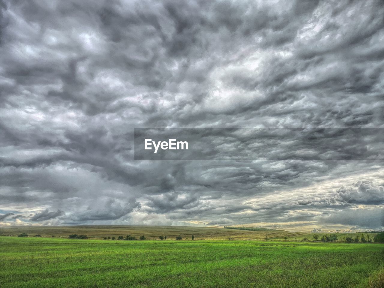 cloud, environment, landscape, sky, storm, beauty in nature, plain, land, scenics - nature, nature, field, grassland, storm cloud, plant, dramatic sky, rural scene, thunderstorm, no people, agriculture, grass, prairie, cloudscape, overcast, horizon, green, outdoors, rain, tranquility, wet, horizon over land, day, crop, tranquil scene, non-urban scene, extreme weather, farm