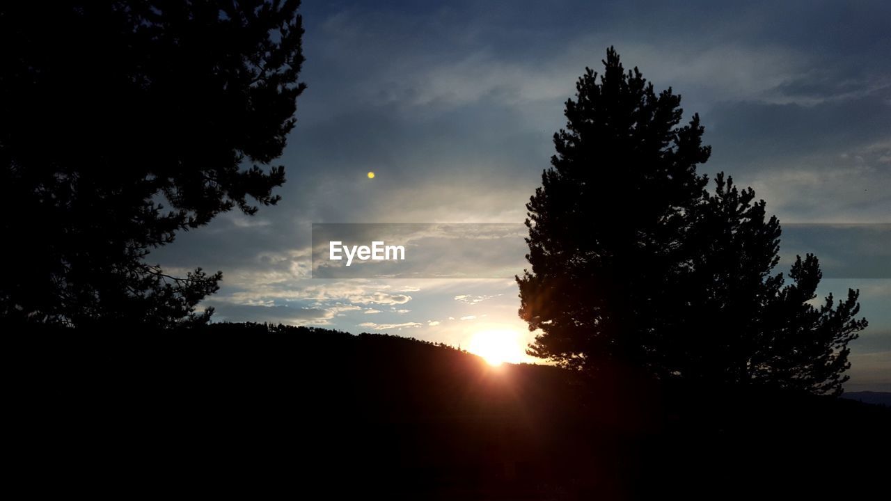 SILHOUETTE OF TREES AGAINST SKY DURING SUNSET