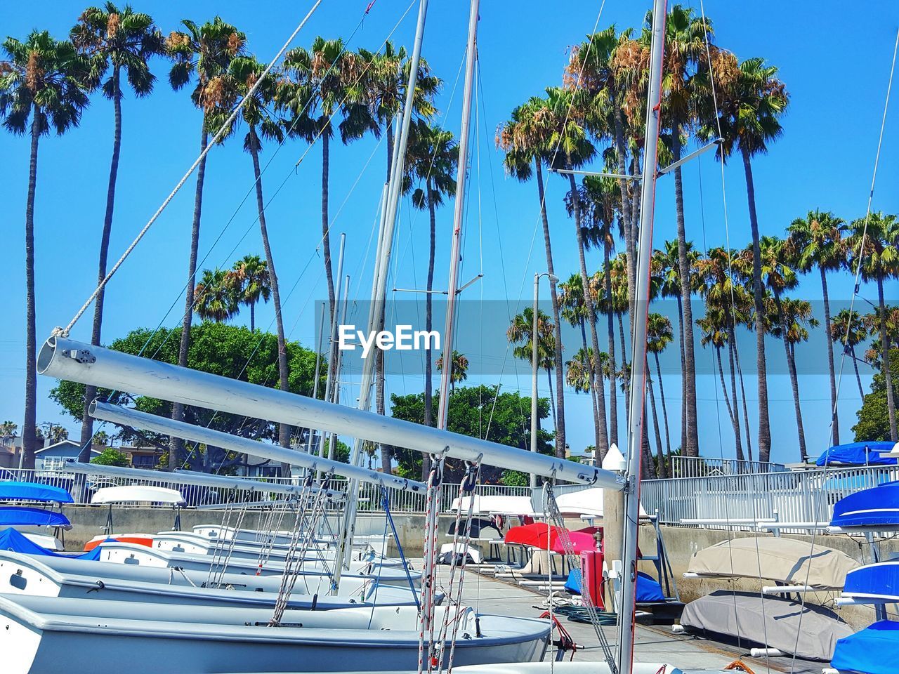 BOATS MOORED IN SEA