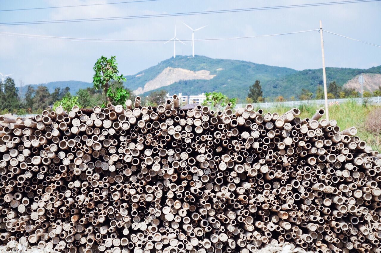 STACK OF TREE AGAINST MOUNTAIN RANGE