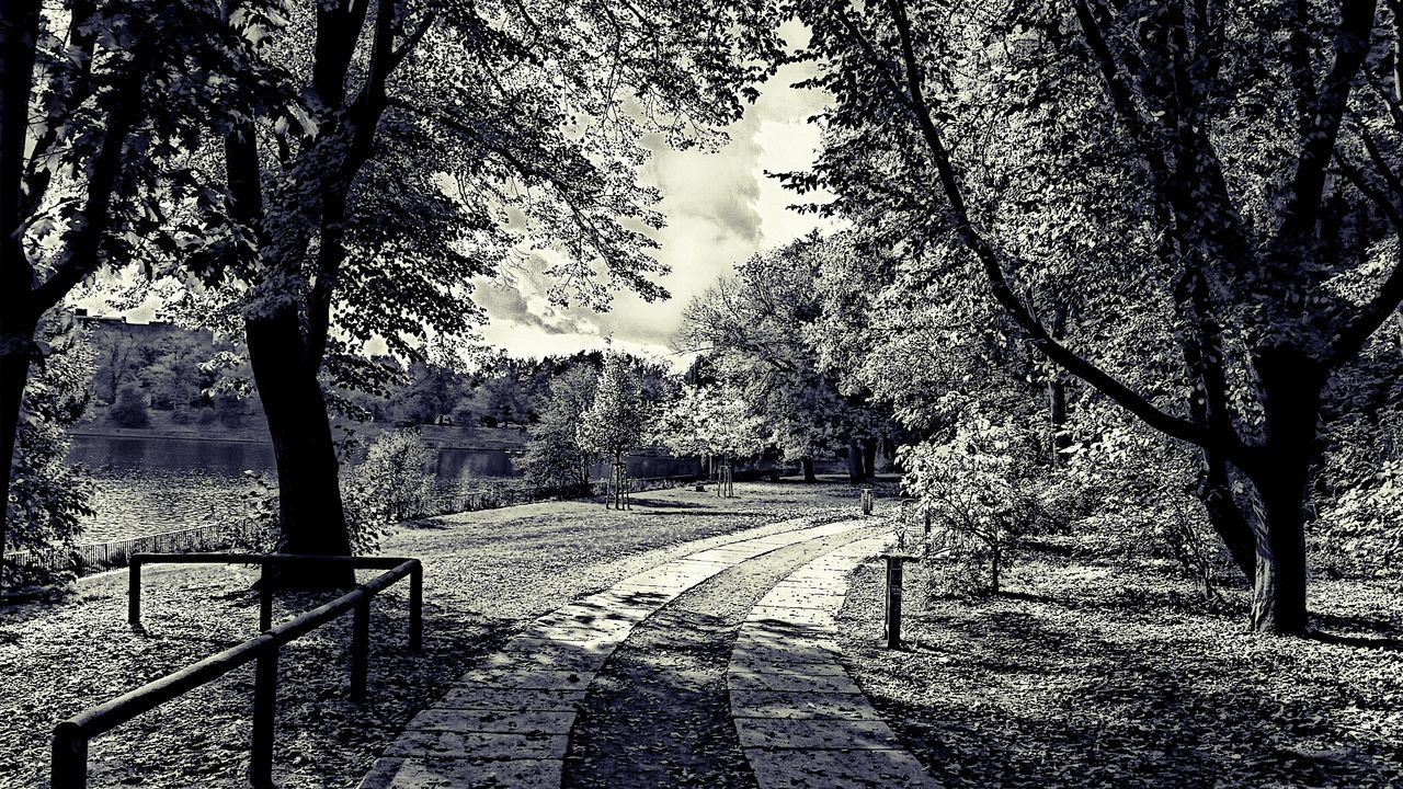 Footpath amidst park