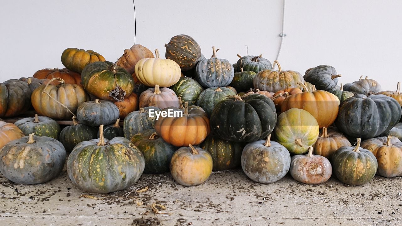 CLOSE-UP OF PUMPKINS IN MARKET