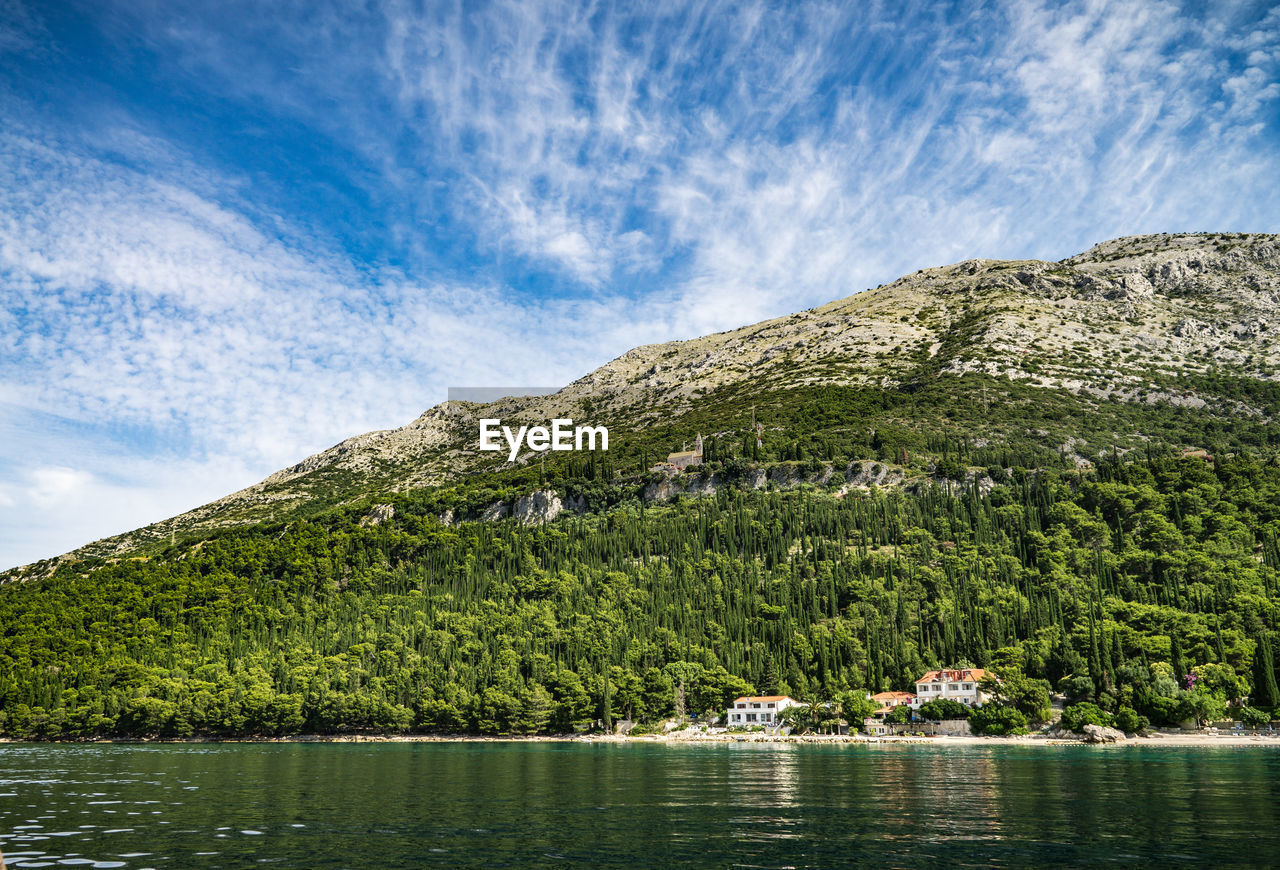 SCENIC VIEW OF LAKE BY TREE AGAINST SKY