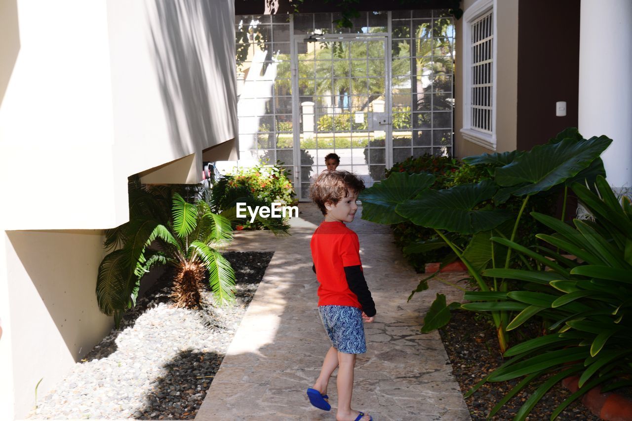 Rear view of boy walking by plants