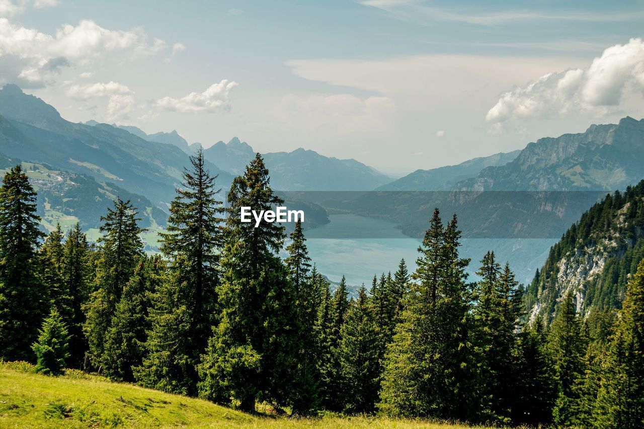 Scenic view of trees and mountains against sky