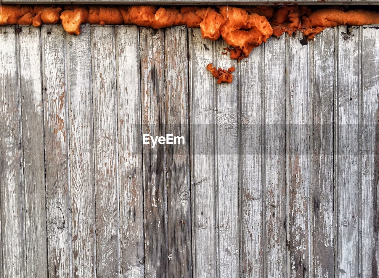 CLOSE-UP OF WOODEN WALL