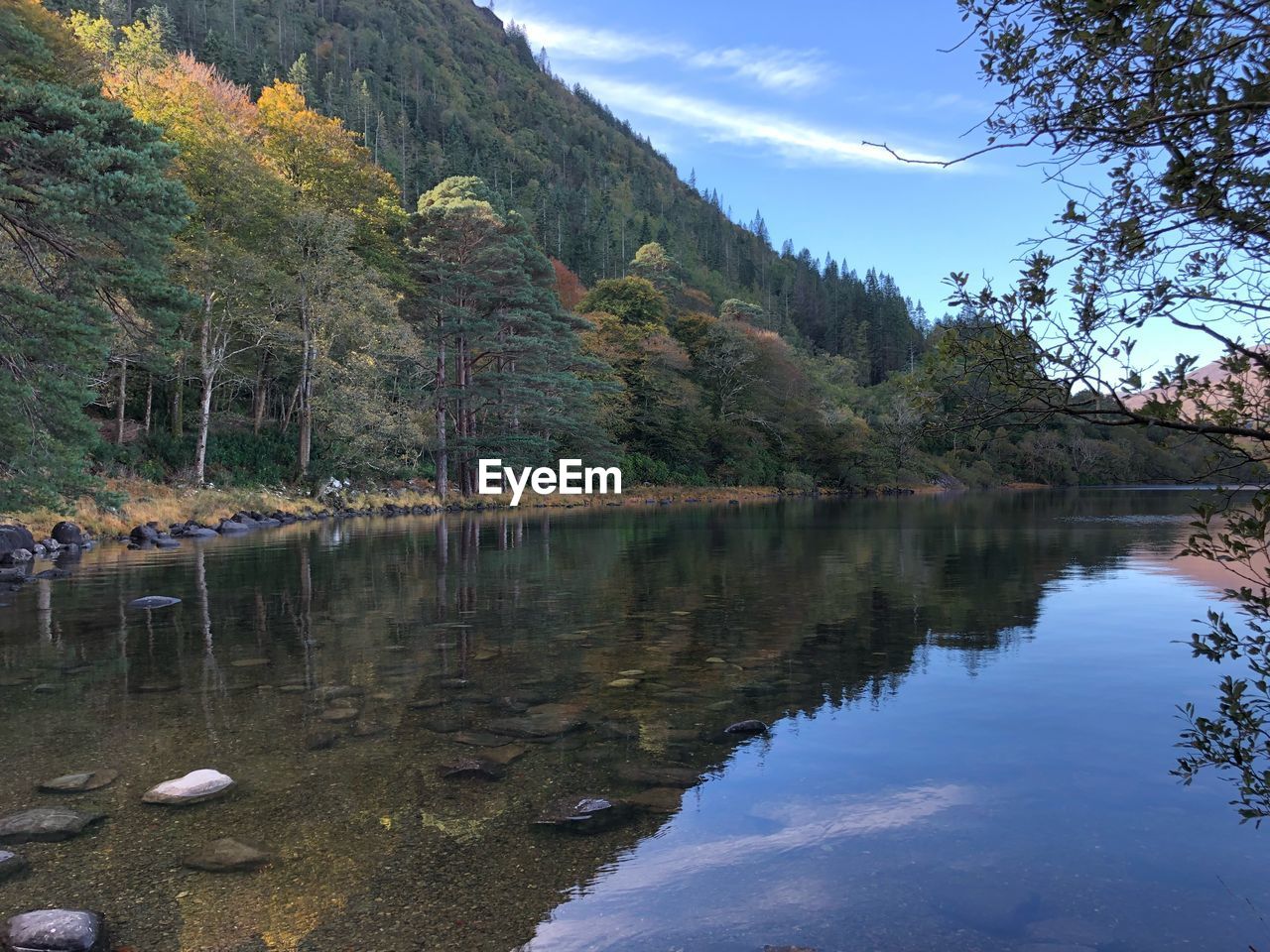 Scenic view of lake by trees against sky