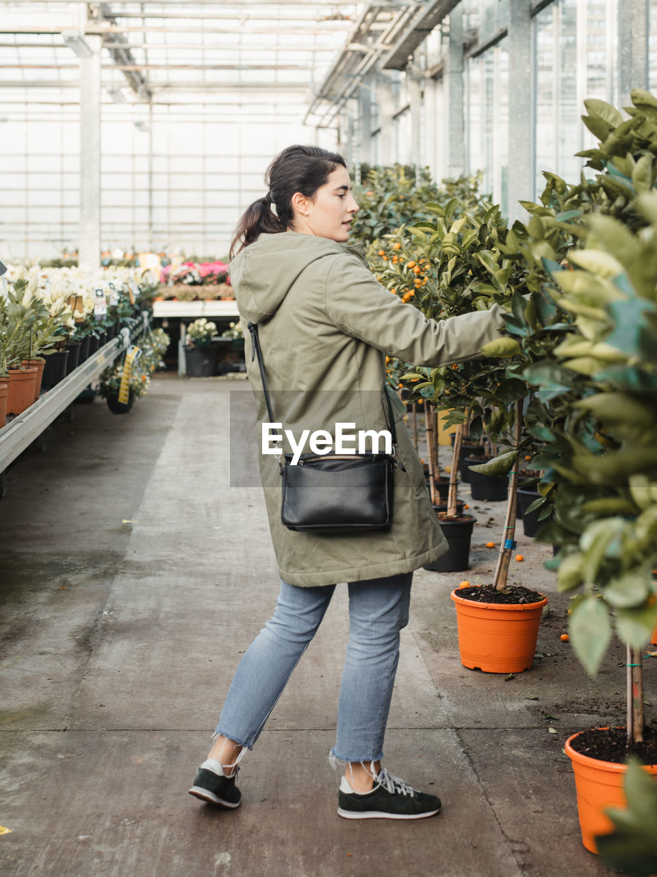 Back view of thoughtful woman in jacket and denim trousers with black handbag focusing and touching citrus tree growing in orange pot while standing against colorful blooming houseplants and choosing plant to buy in contemporary flower market