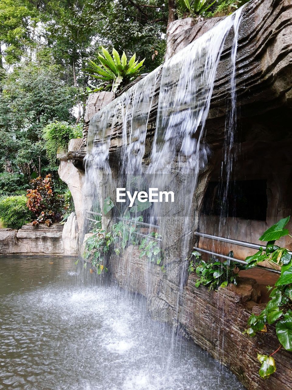 WATER FLOWING THROUGH ROCKS IN A FOREST