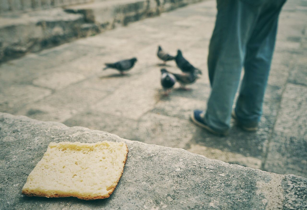 LOW SECTION OF PERSON WITH DOG ON GROUND