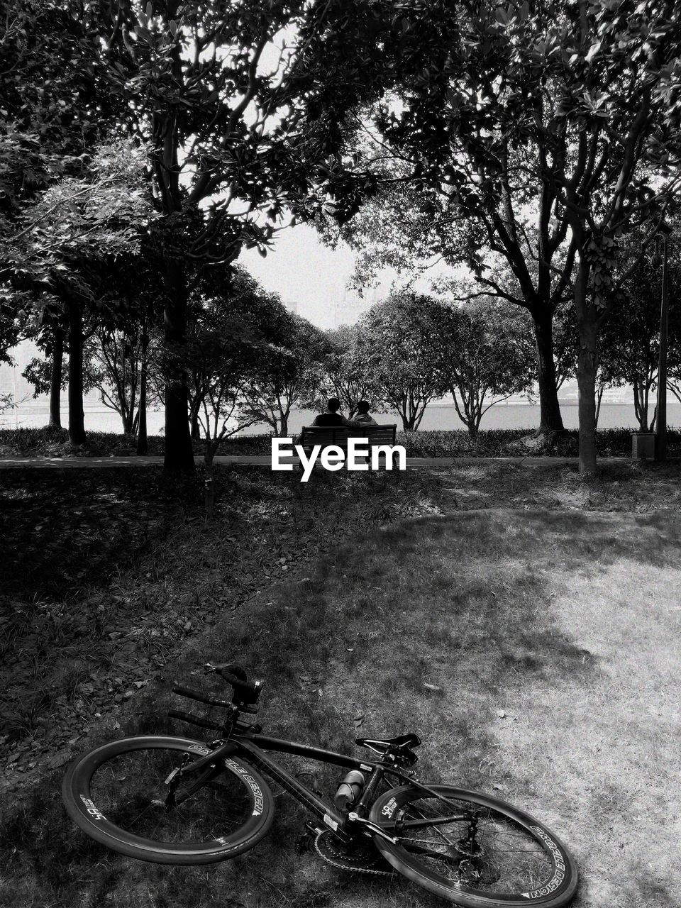 BICYCLE PARKED IN PARK