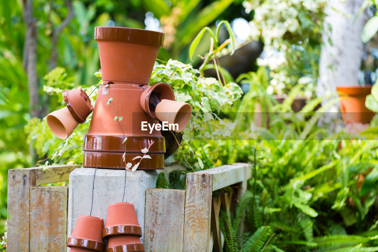 plant, green, garden, nature, growth, flower, day, outdoors, gardening, no people, focus on foreground, wood, potted plant, container, backyard, lawn, grass, food and drink, food, jungle, leaf