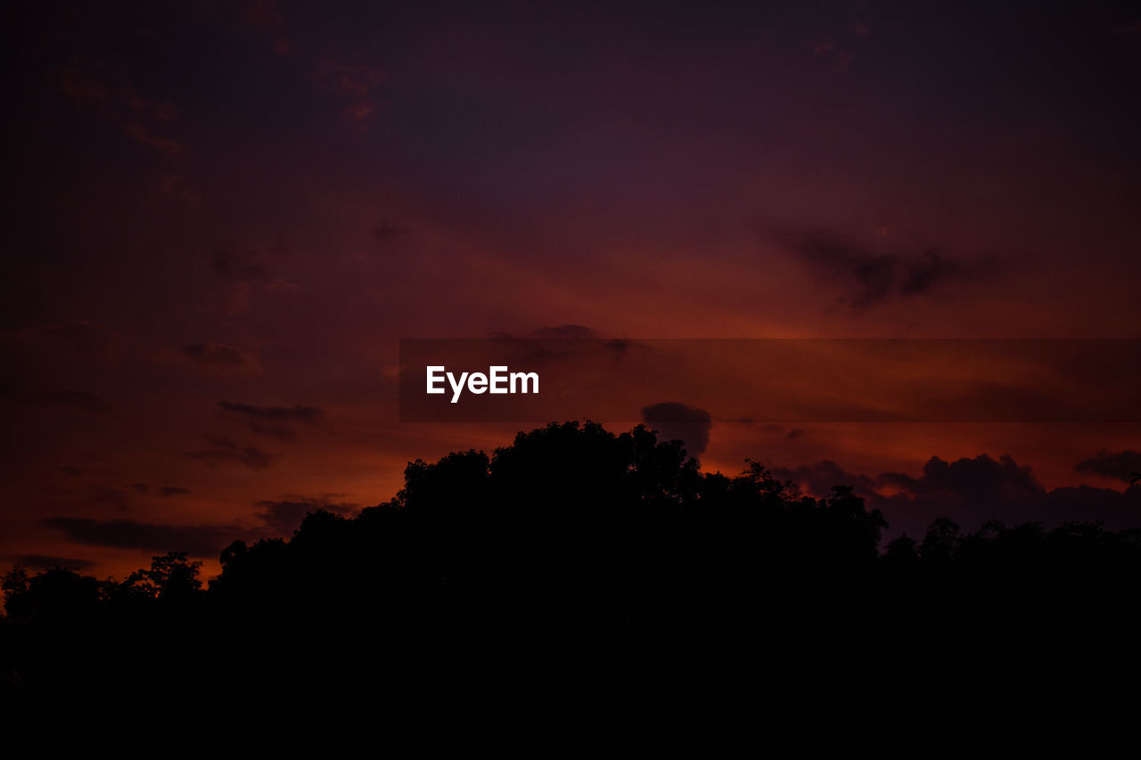 SILHOUETTE TREES AGAINST ORANGE SKY