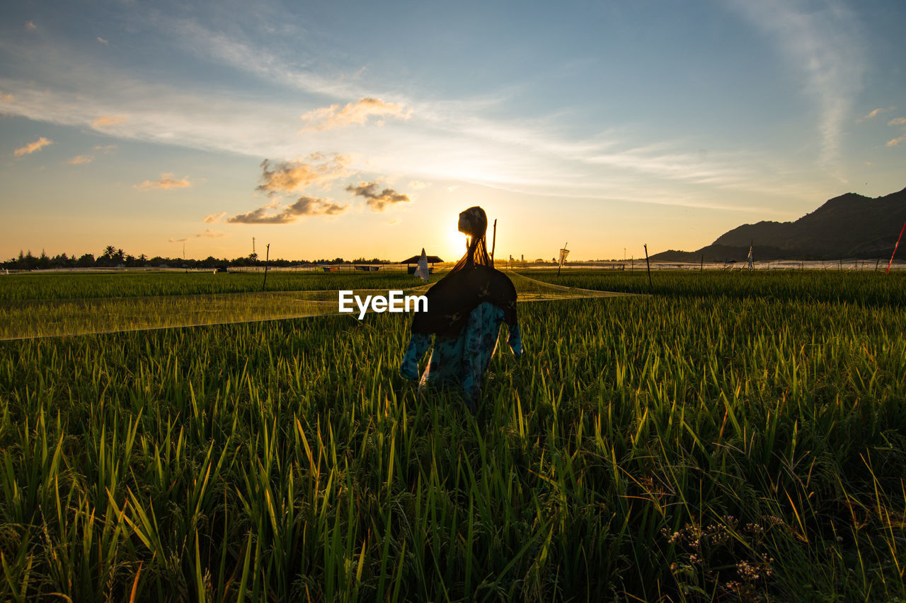 REAR VIEW OF MAN STANDING ON FIELD AGAINST SKY DURING SUNSET