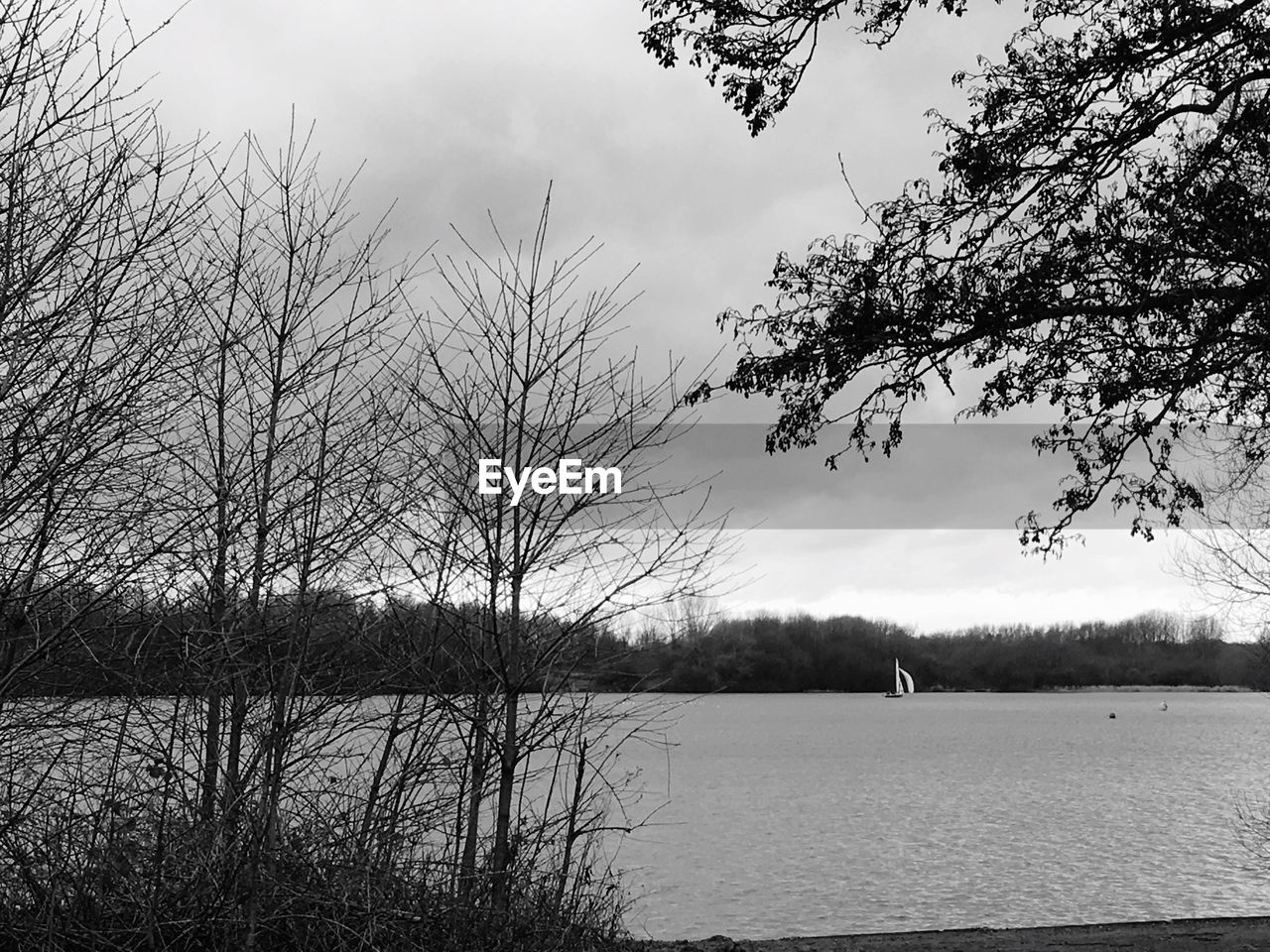 BIRDS BY LAKE AGAINST SKY