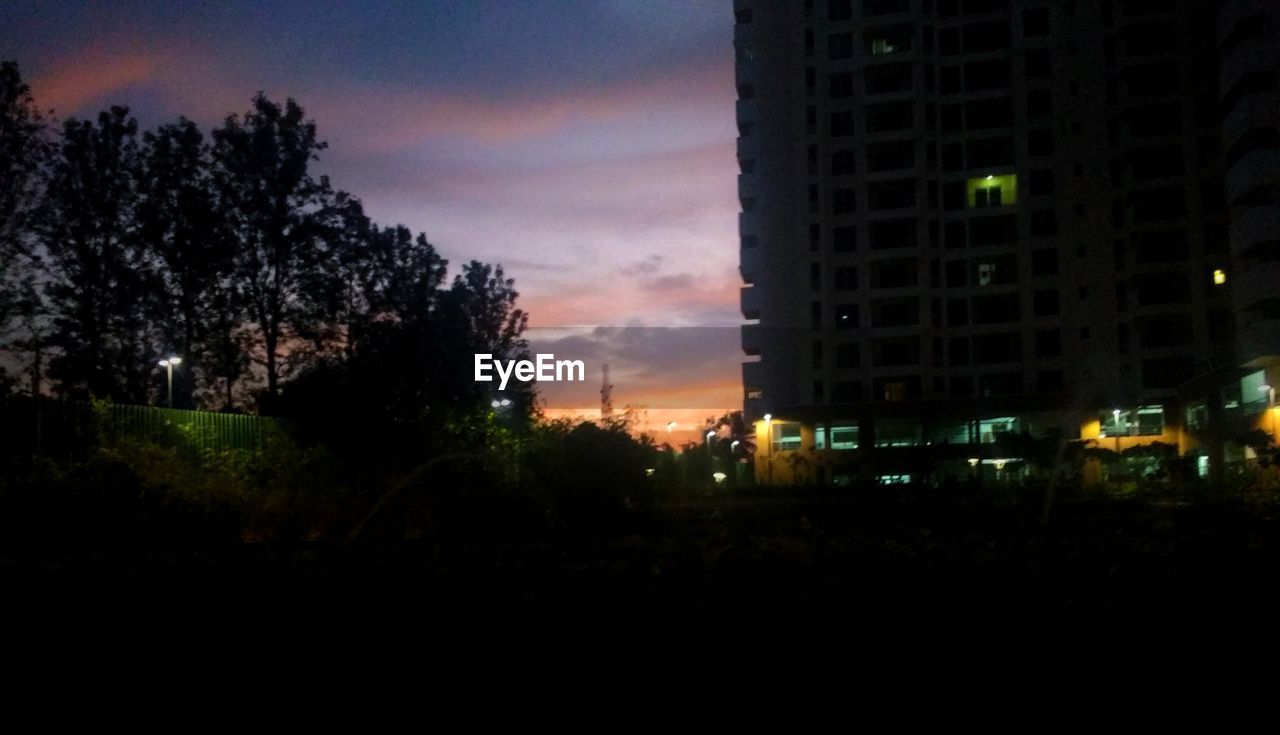 SILHOUETTE TREES AGAINST SKY AT NIGHT IN CITY