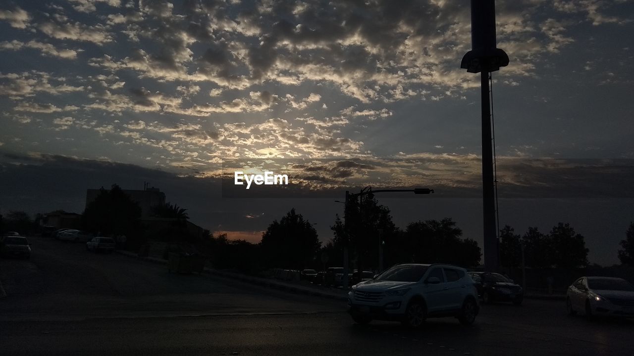 CARS ON STREET BY SILHOUETTE TREES AGAINST SKY