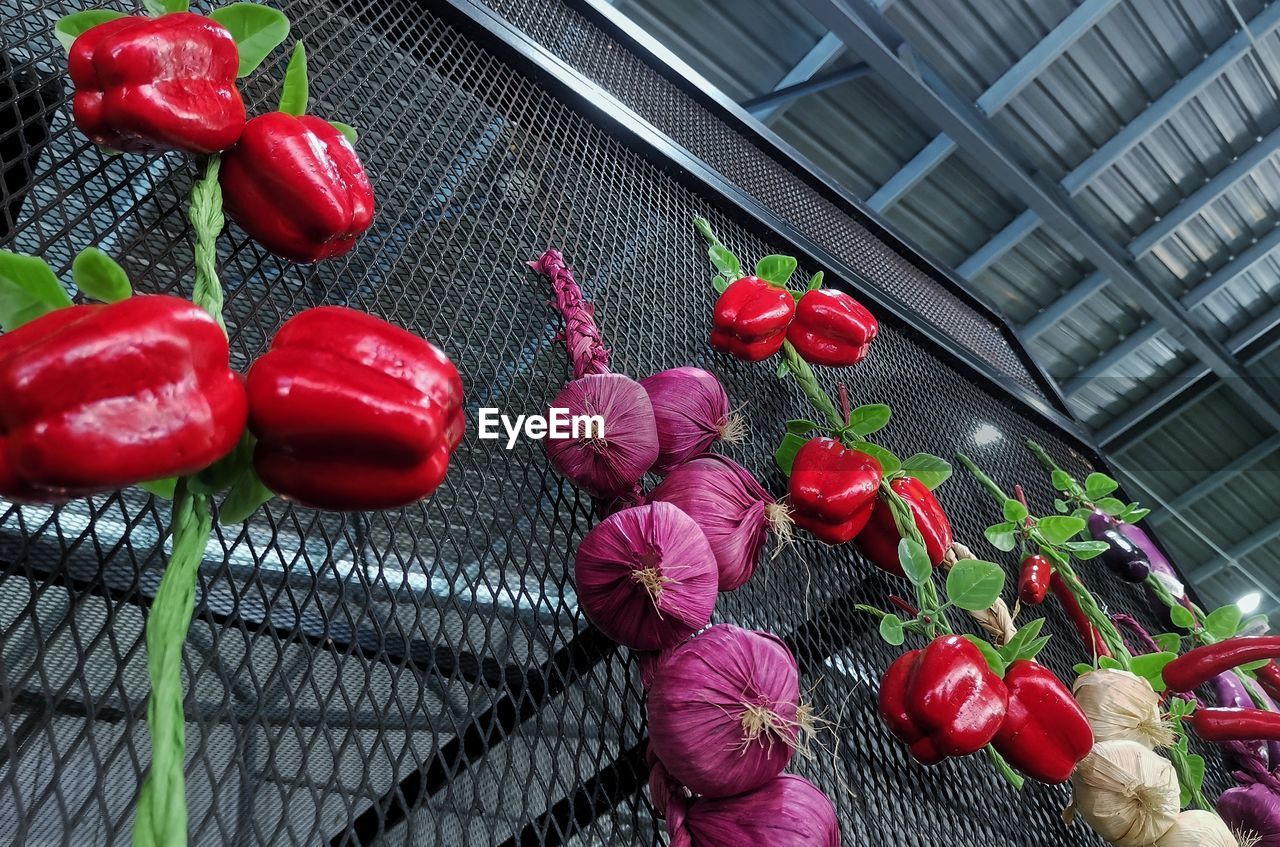 red, plant, flower, vegetable, freshness, pepper, no people, food, food and drink, nature, chili pepper, produce, high angle view, architecture, healthy eating, large group of objects, tomato, day, built structure, fence
