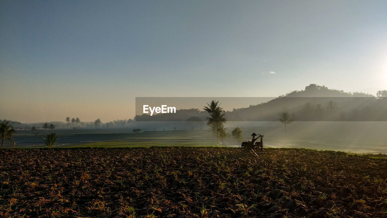 SCENIC VIEW OF FARM AGAINST SKY