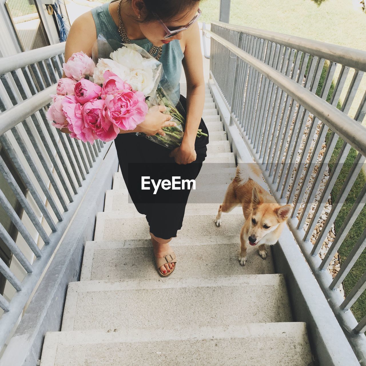 High angle view of woman holding bouquet by dog walking on steps