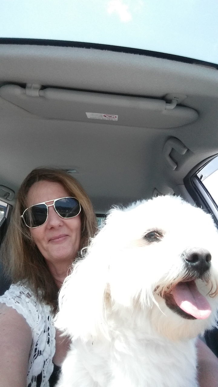 Portrait of woman with dog traveling in car