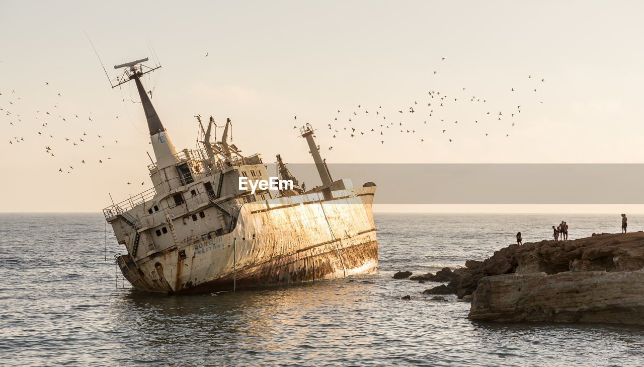 BIRDS FLYING ABOVE SEA