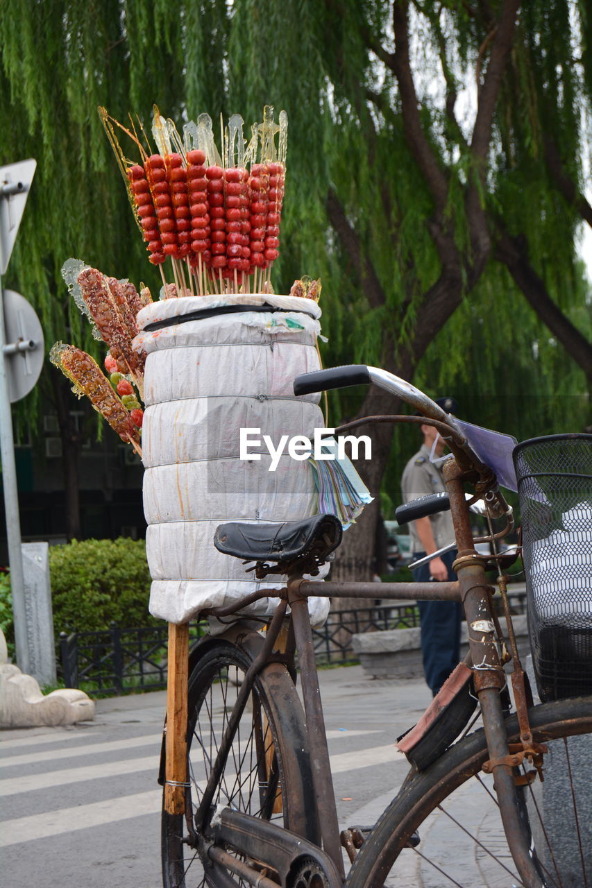 Food on bicycle parked on street