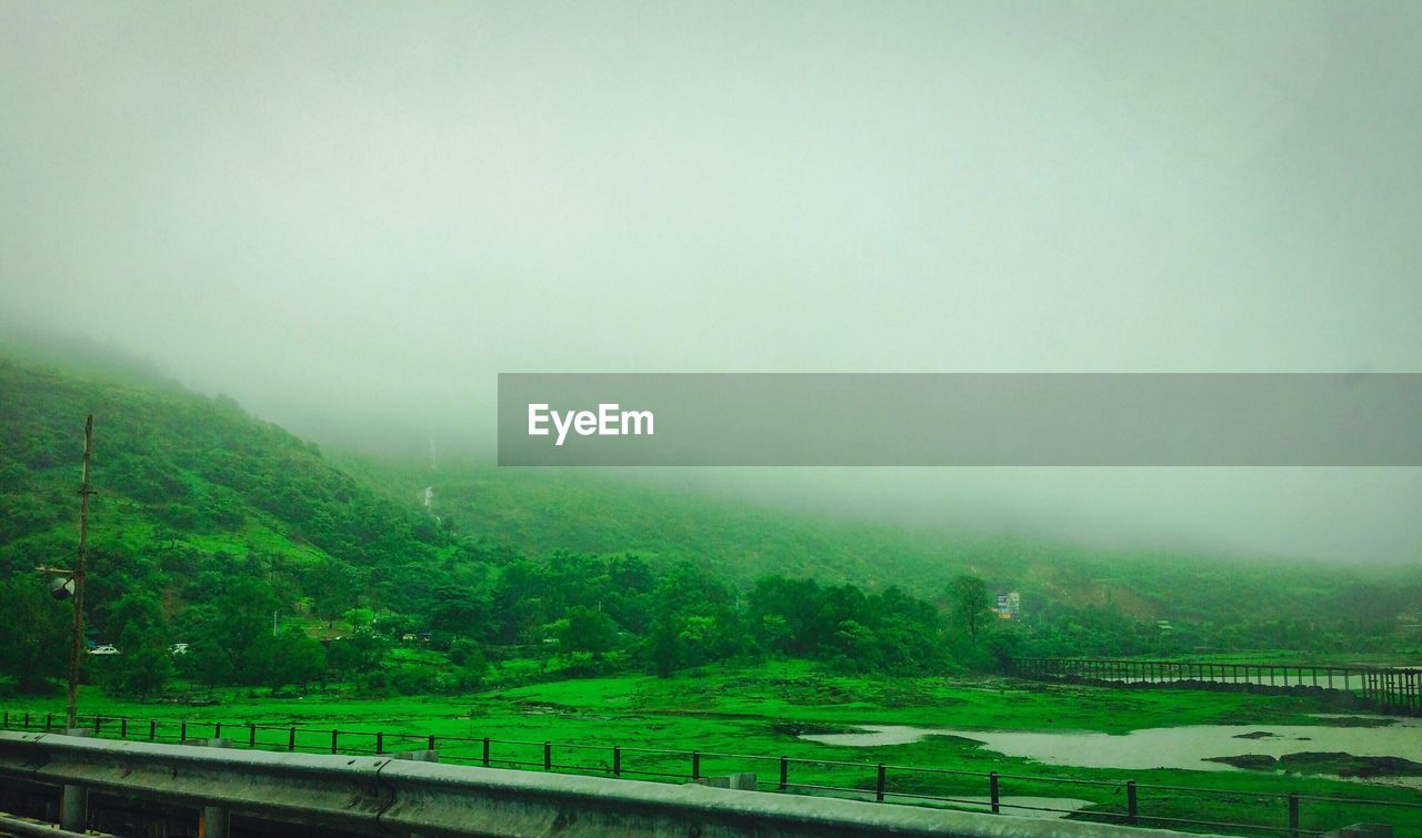 SCENIC VIEW OF FIELD IN FOGGY WEATHER