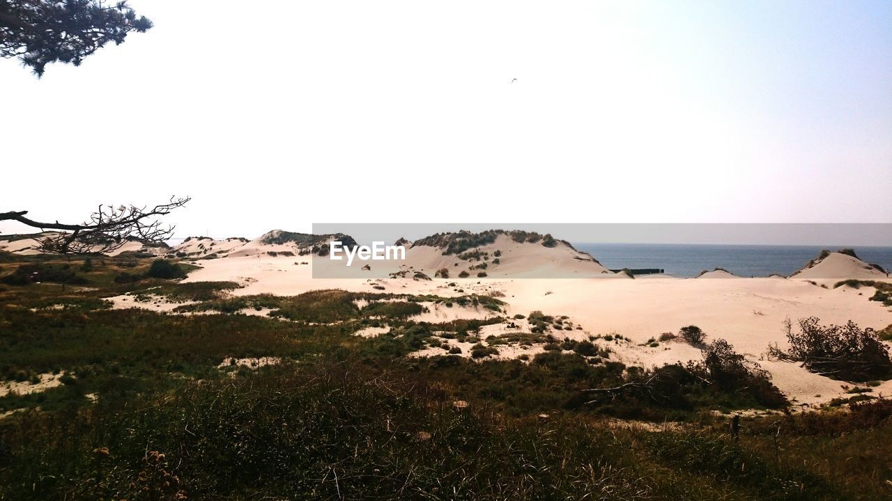 Low angle view of sand dune above sea