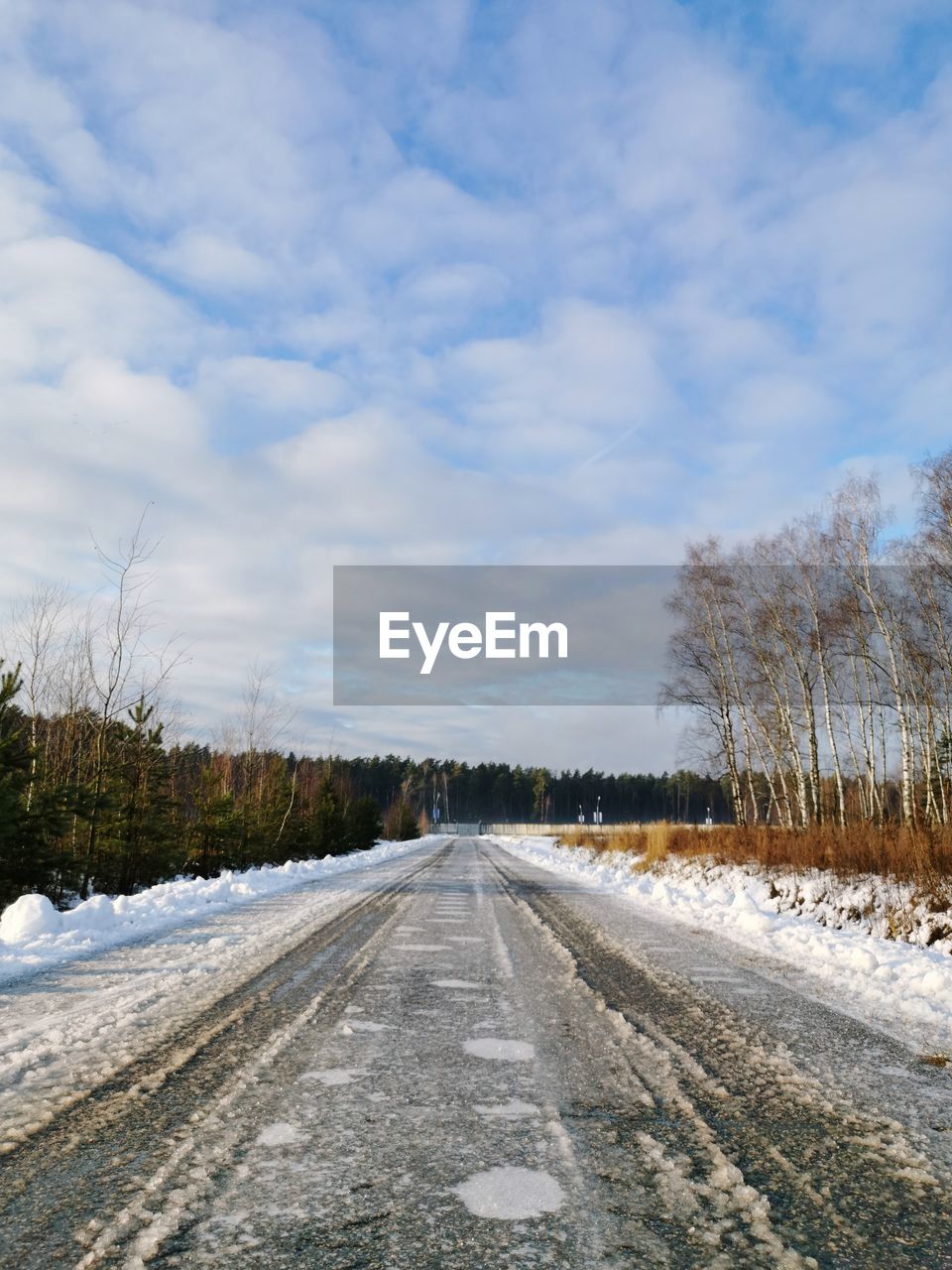 ROAD BY SNOW COVERED TREES AGAINST SKY