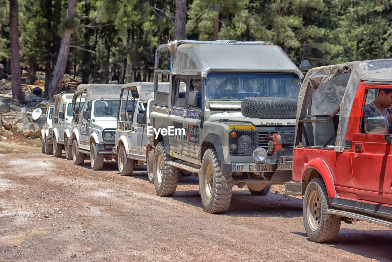 VEHICLES ON ROAD ALONG TREES