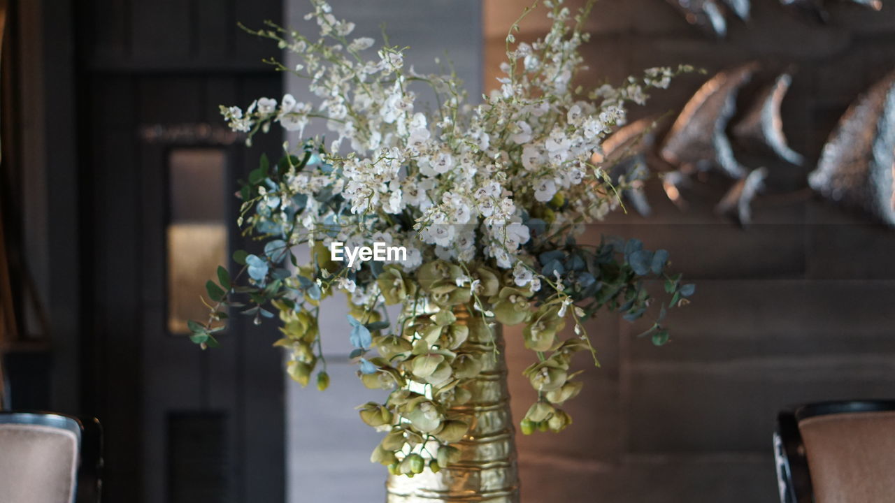 Close-up of white flowers in vase against wall