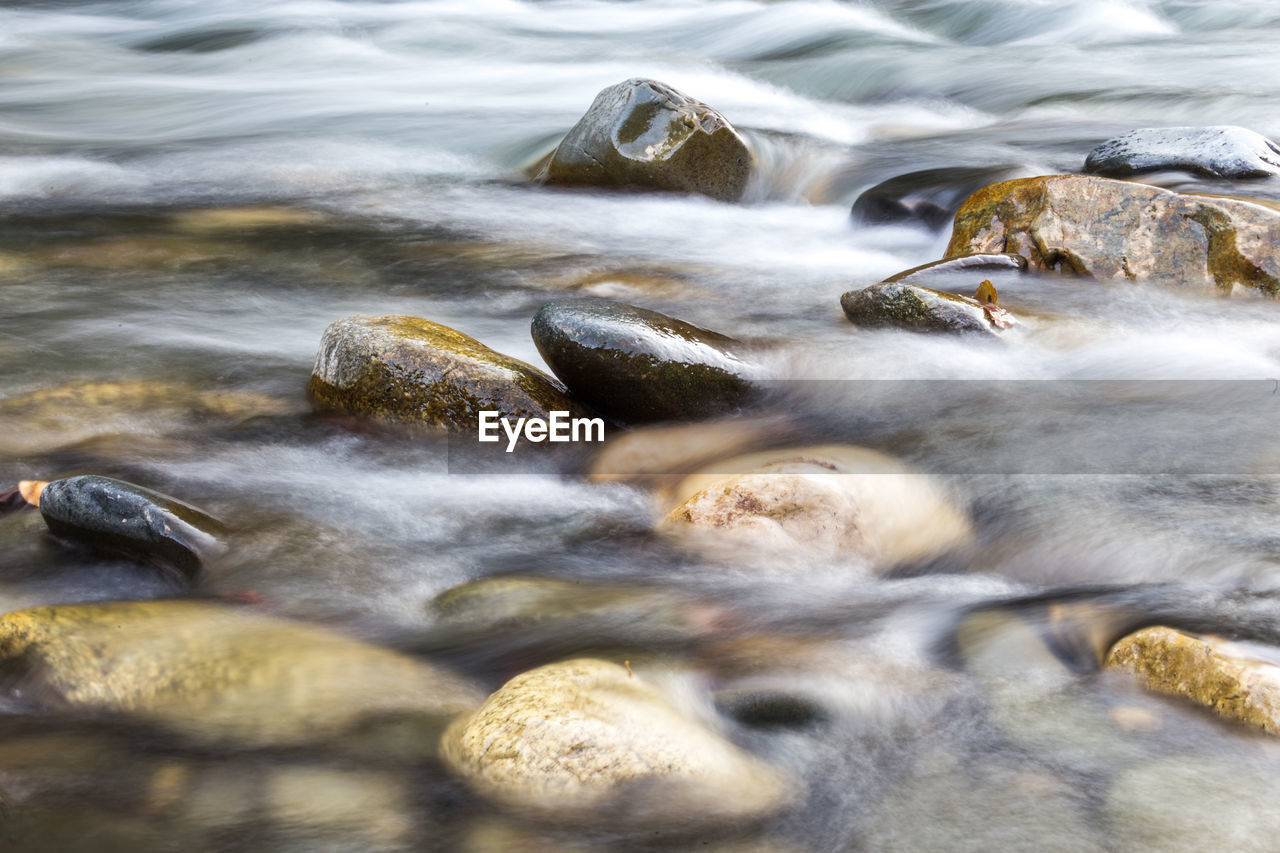 CLOSE-UP OF WET ROCKS IN WATER