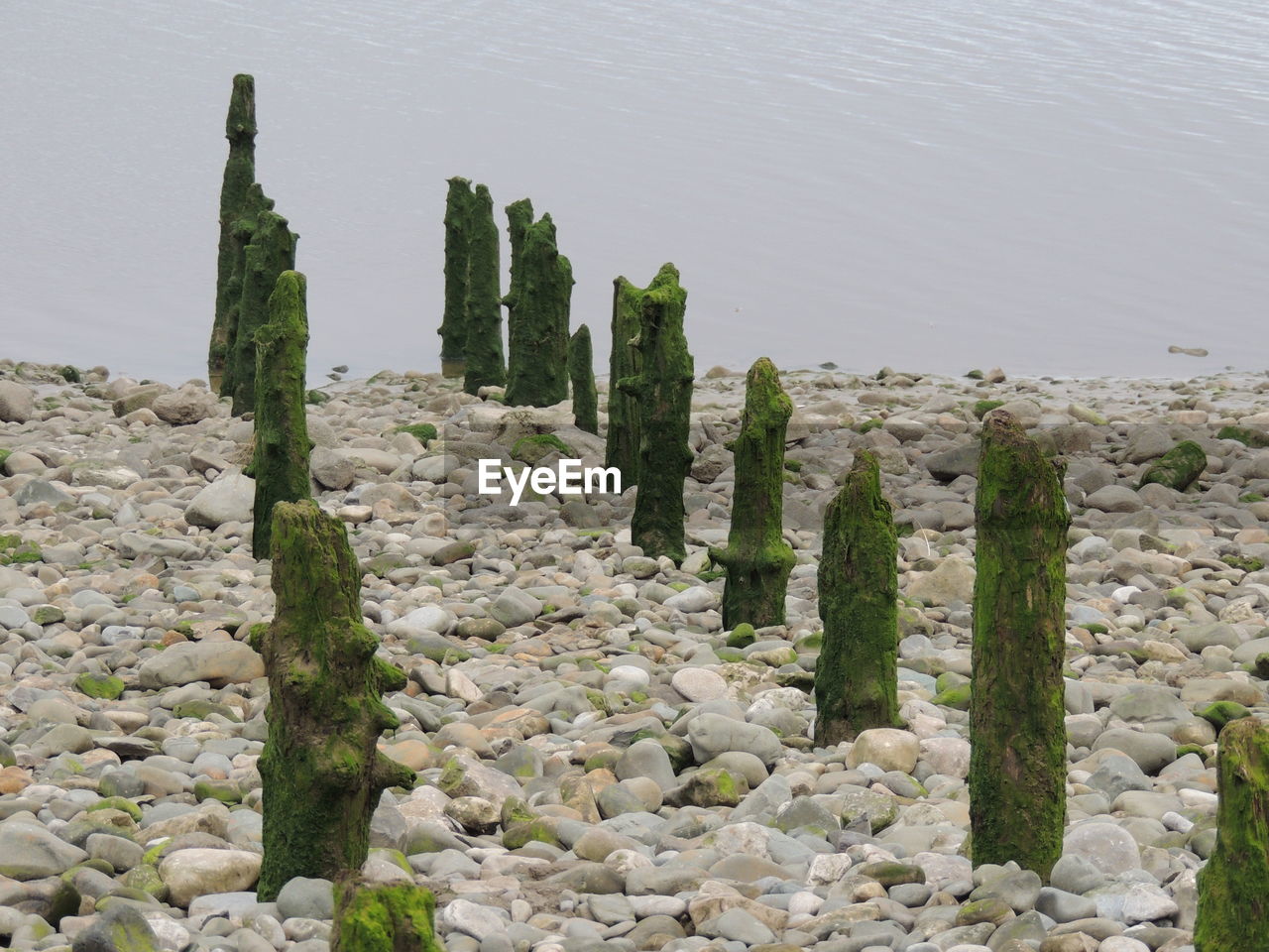 Old jetty, morecombe 