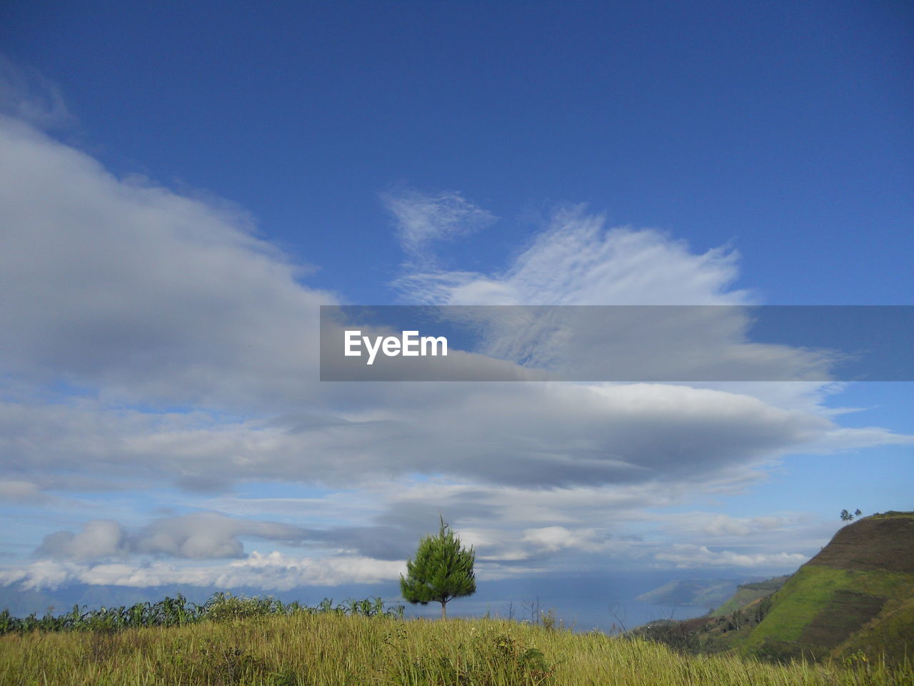 Scenic view of field against cloudy sky