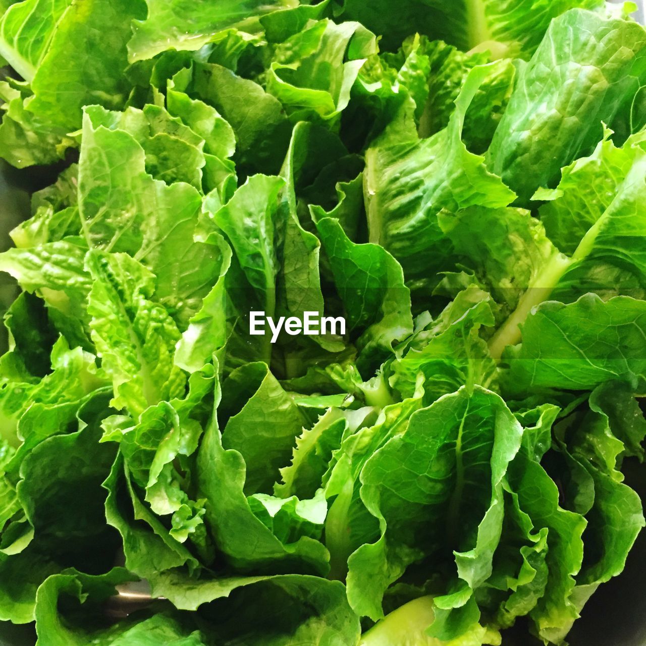 Full frame shot of spinach in market