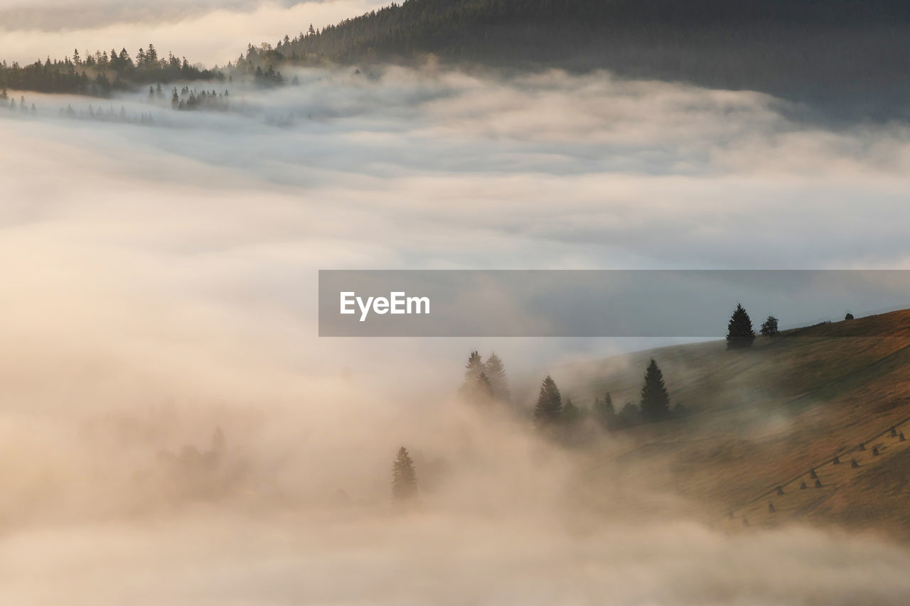 Aerial view of mountain by fog