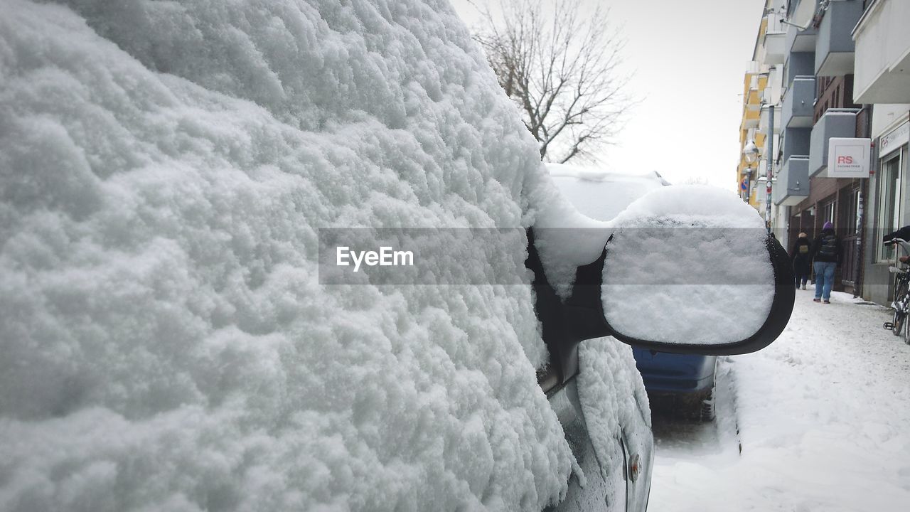 VIEW OF SNOW COVERED TREES