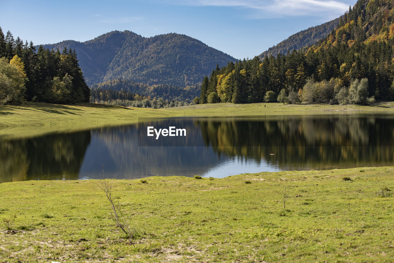 SCENIC VIEW OF LAKE AND TREES AGAINST SKY