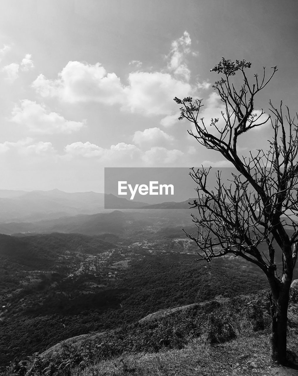 SCENIC VIEW OF LAND AGAINST SKY