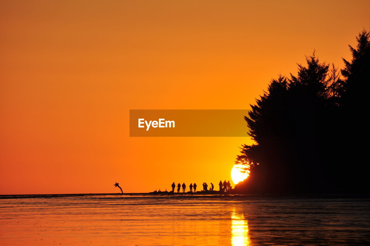 Silhouette trees by sea against orange sky