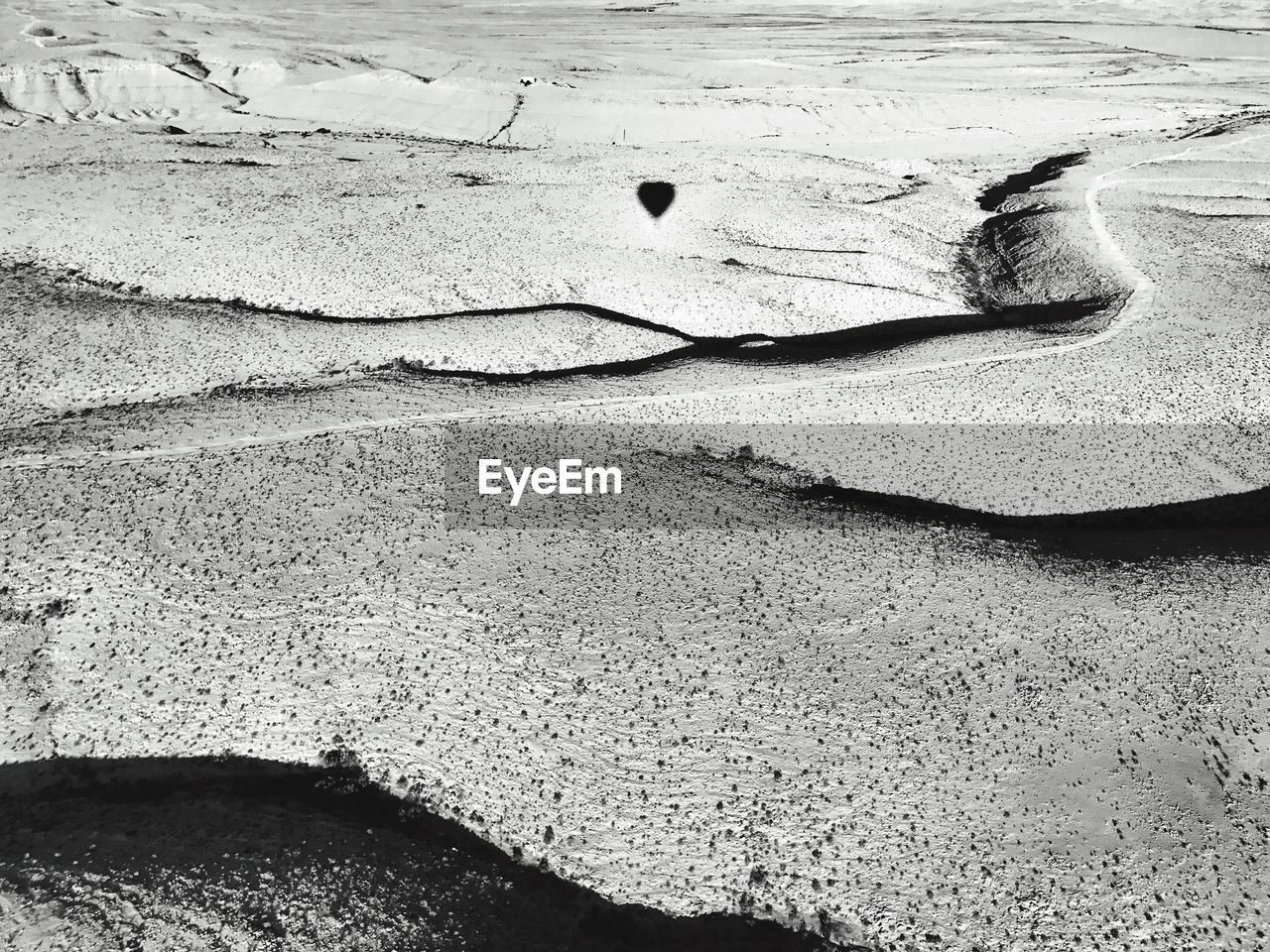 HIGH ANGLE VIEW OF CRAB ON SAND