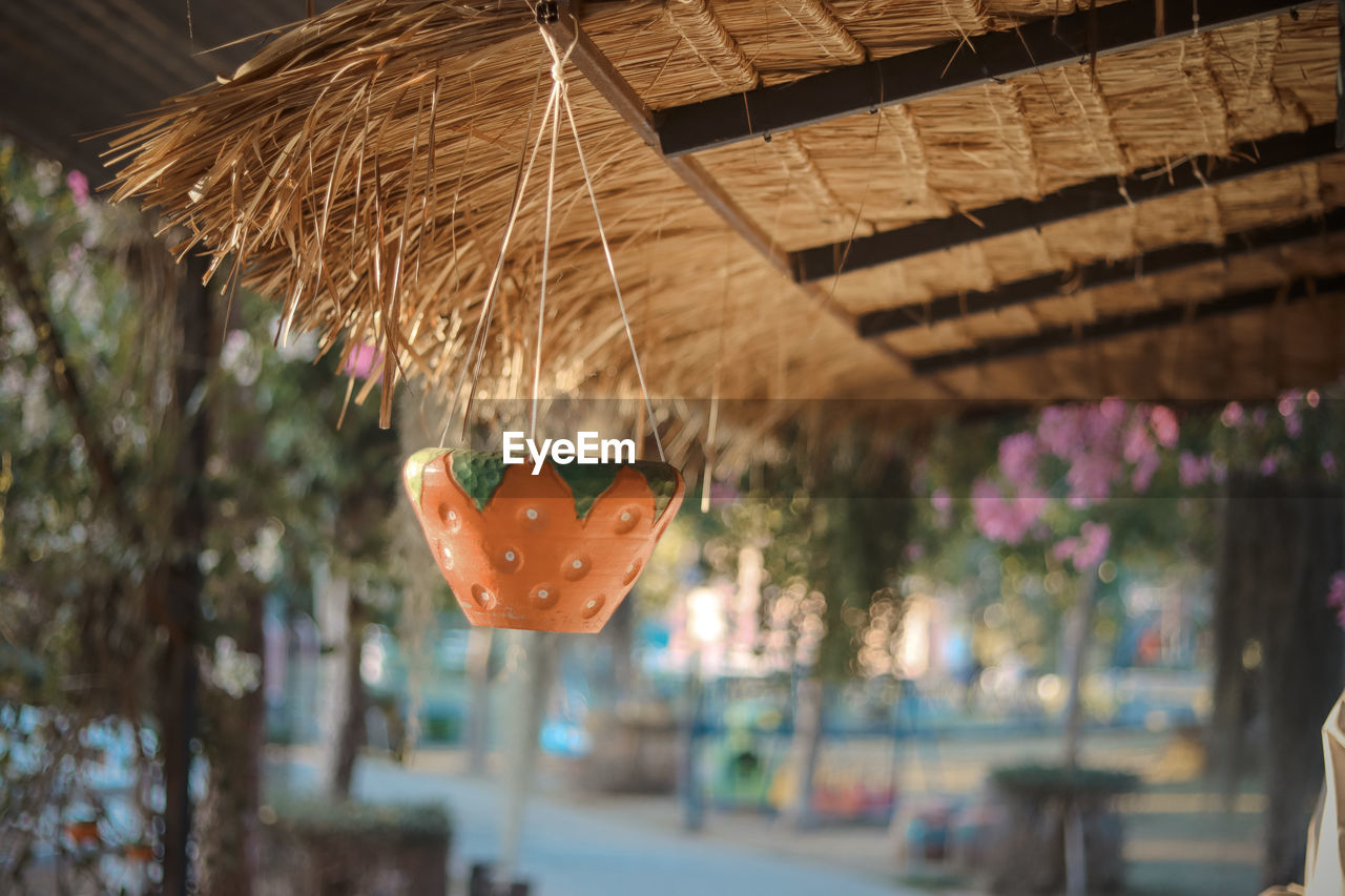 Close-up of decoration hanging on roof