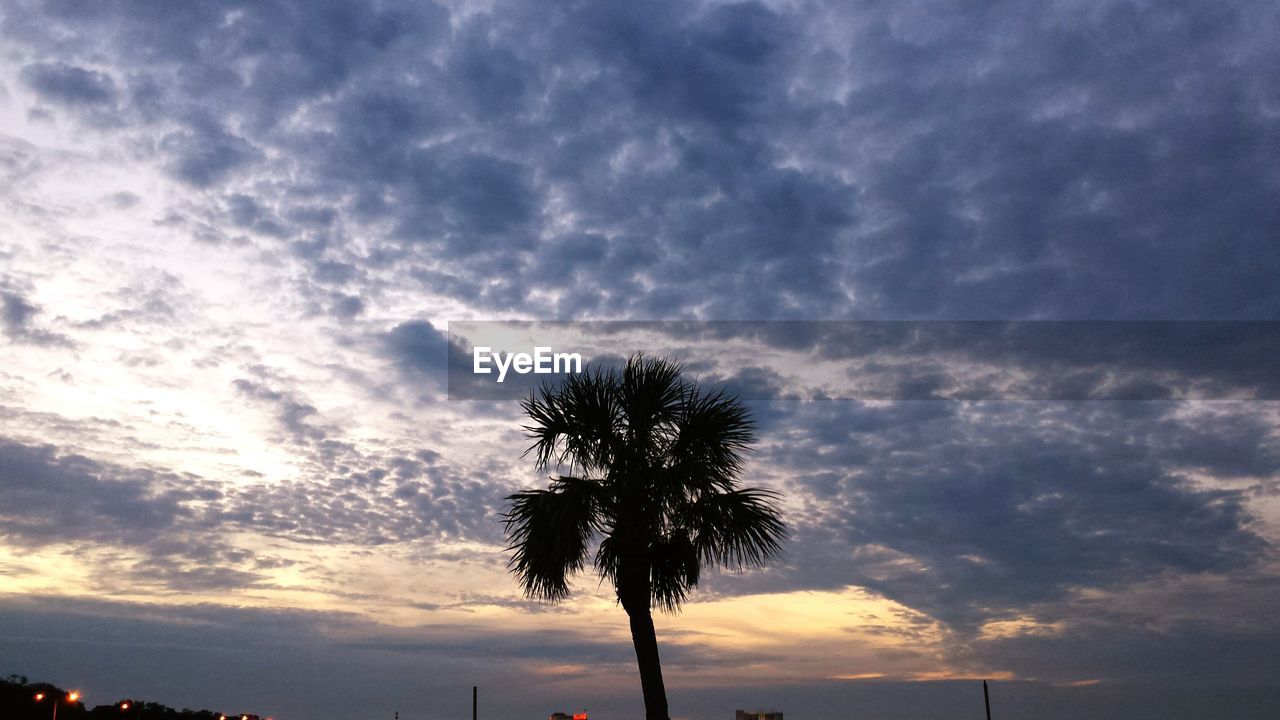 Silhouette of palm tree against cloudy sky