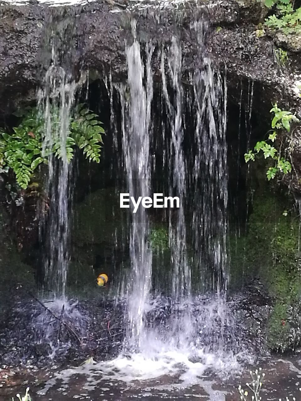 SCENIC VIEW OF WATERFALL