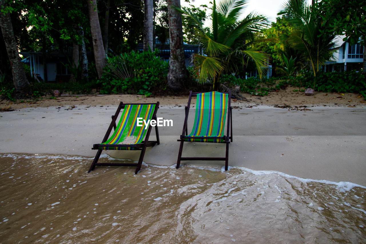 tree, plant, nature, land, chair, water, beach, seat, sand, no people, tropical climate, absence, tranquility, outdoors, day, empty, palm tree, relaxation, beauty in nature, tranquil scene, furniture, green, scenics - nature, environment