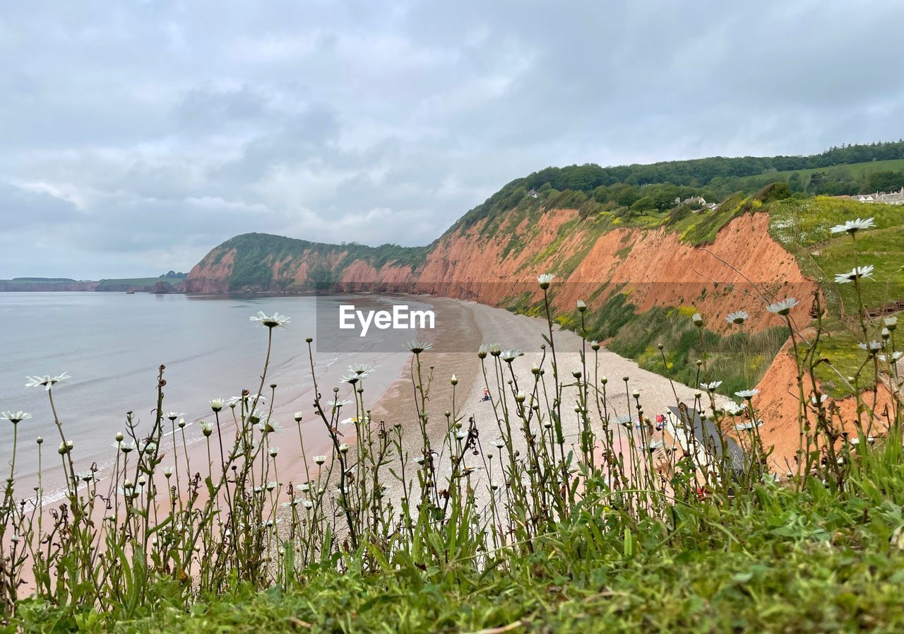 Coast cliffs and sea