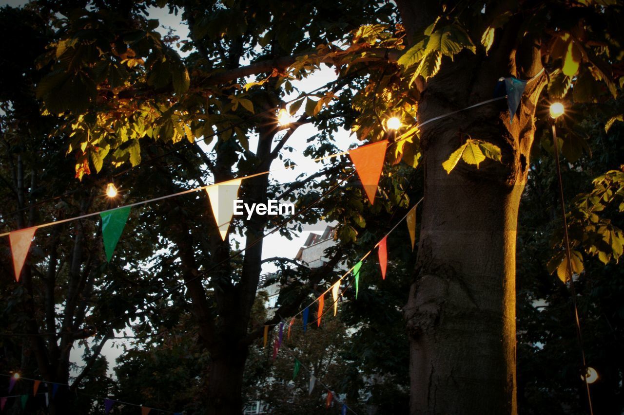 LOW ANGLE VIEW OF TREES AGAINST ILLUMINATED CITY