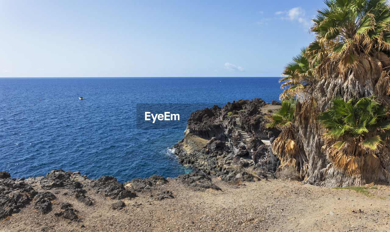 sea, water, sky, land, beach, scenics - nature, horizon over water, beauty in nature, horizon, shore, nature, ocean, body of water, palm tree, coast, vacation, tranquility, tropical climate, tranquil scene, plant, rock, tree, day, blue, no people, travel destinations, bay, cliff, sand, travel, idyllic, clear sky, terrain, outdoors, coastline, non-urban scene, sunlight, tourism, cove, trip, holiday, island, seascape