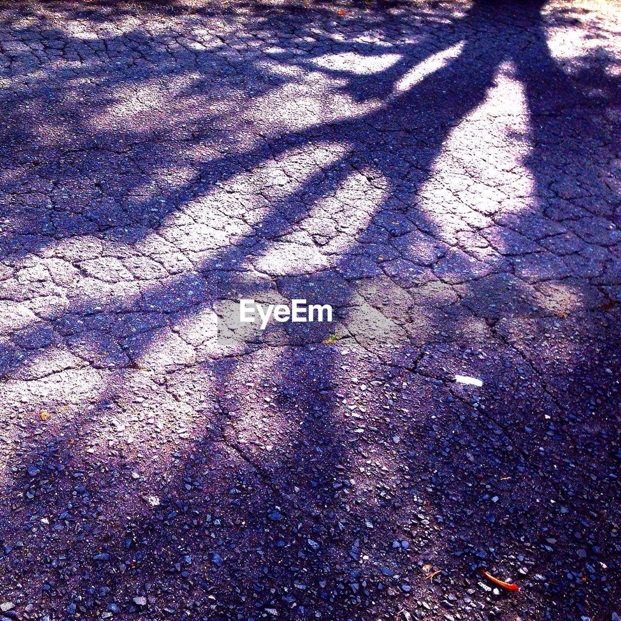 High angle view of street with shadow of tree